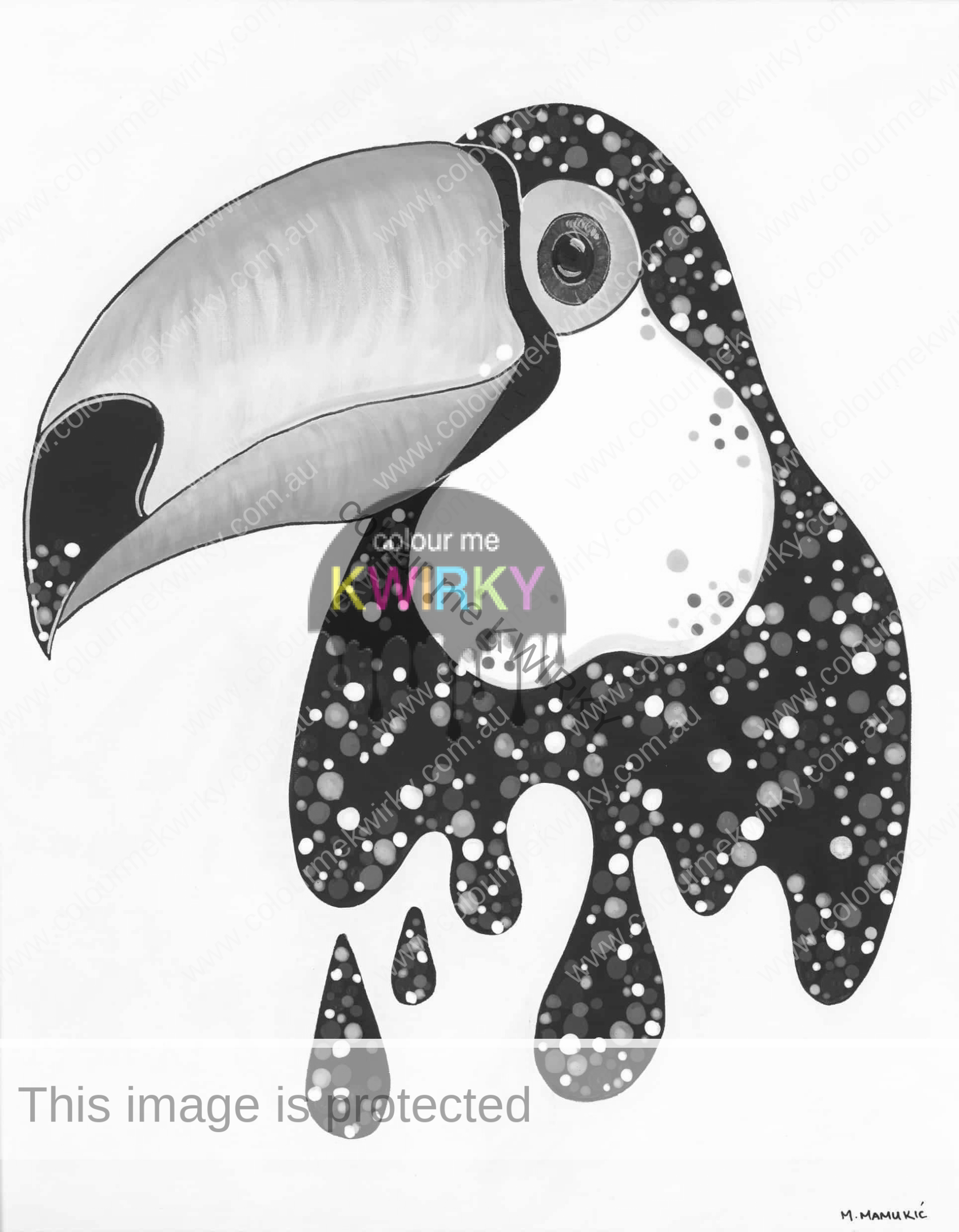 Animals & More – Kevin Toucan