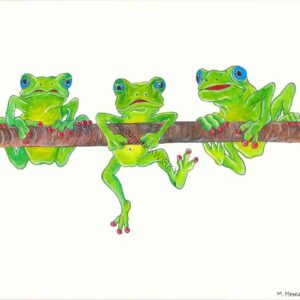 Animals & More – Frogs – Meeting time